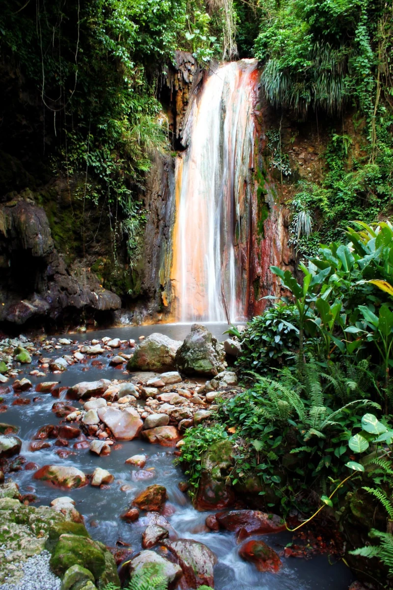 Waterfall surrounded by tropical greenery